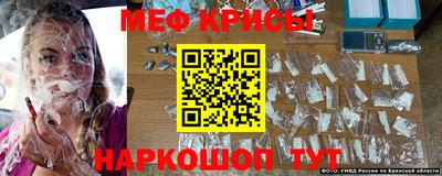 бошки Кингисепп