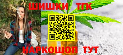 бошки Кингисепп