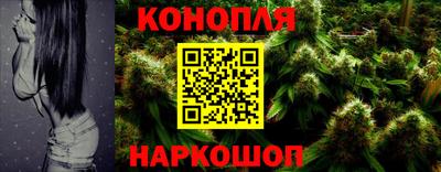 бошки Кингисепп
