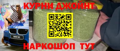 бошки Кингисепп