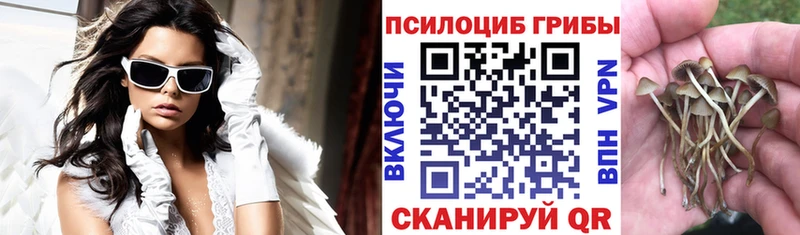 где найти наркотики  Карасук  Галлюциногенные грибы MAGIC MUSHROOMS 