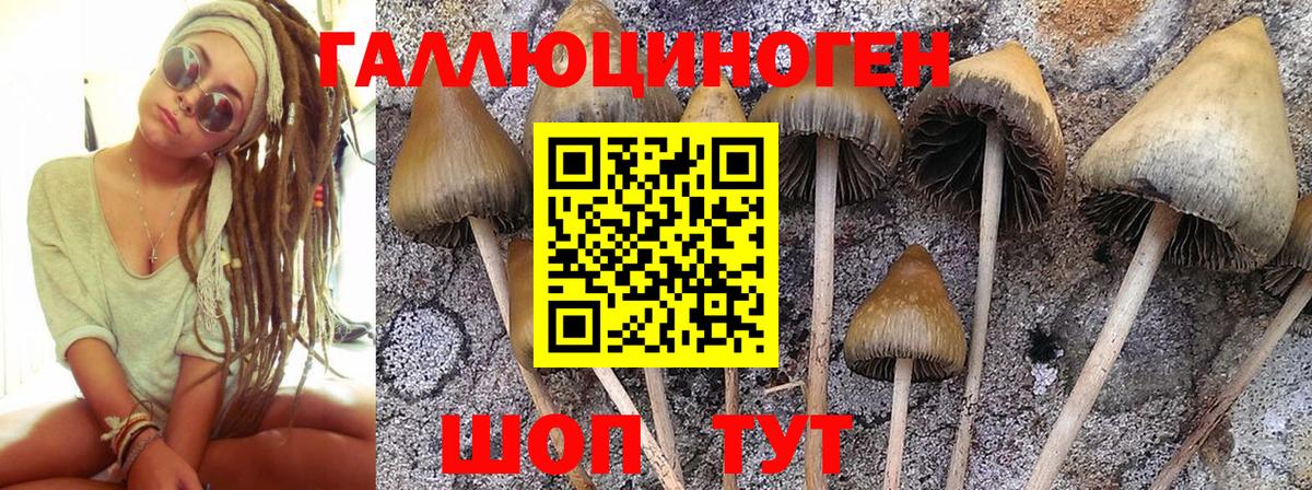 Галлюциногенные грибы Cubensis  Вход с VPN  купить   Карасук 