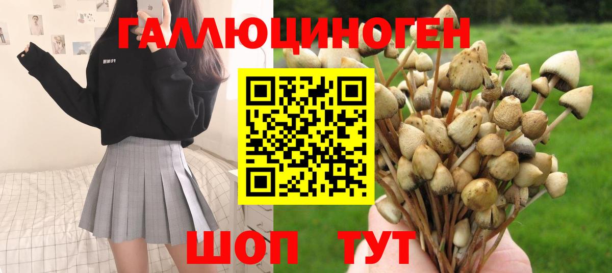 Галлюциногенные грибы ЛСД Карасук
